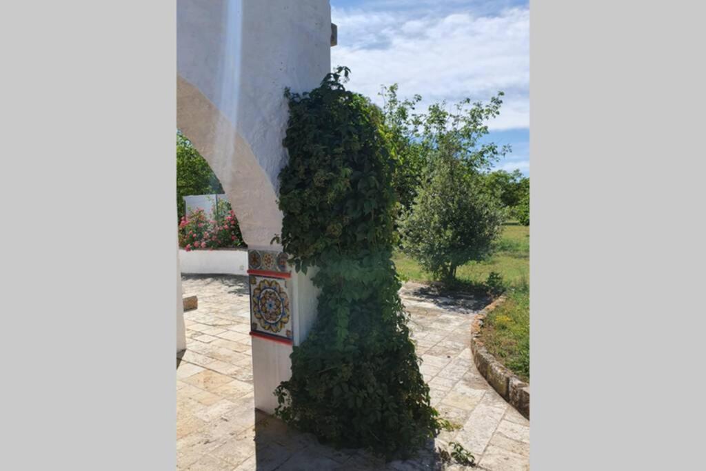 Trulli Relax A Martina Franca Villa Ngoại thất bức ảnh